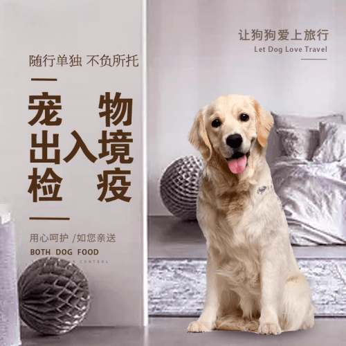 雅安市宠物托运到哥伦比亚猫狗宠物入境规定和