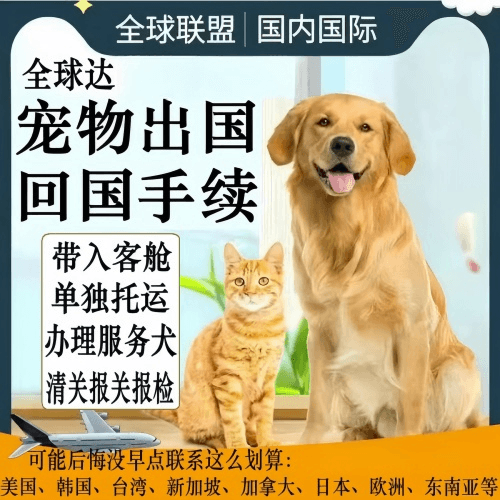 雅安市宠物托运到柬埔寨宠物入境规定和要求