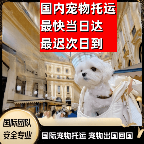 雅安市到澳大利亚（澳洲）宠物入境规定和要求