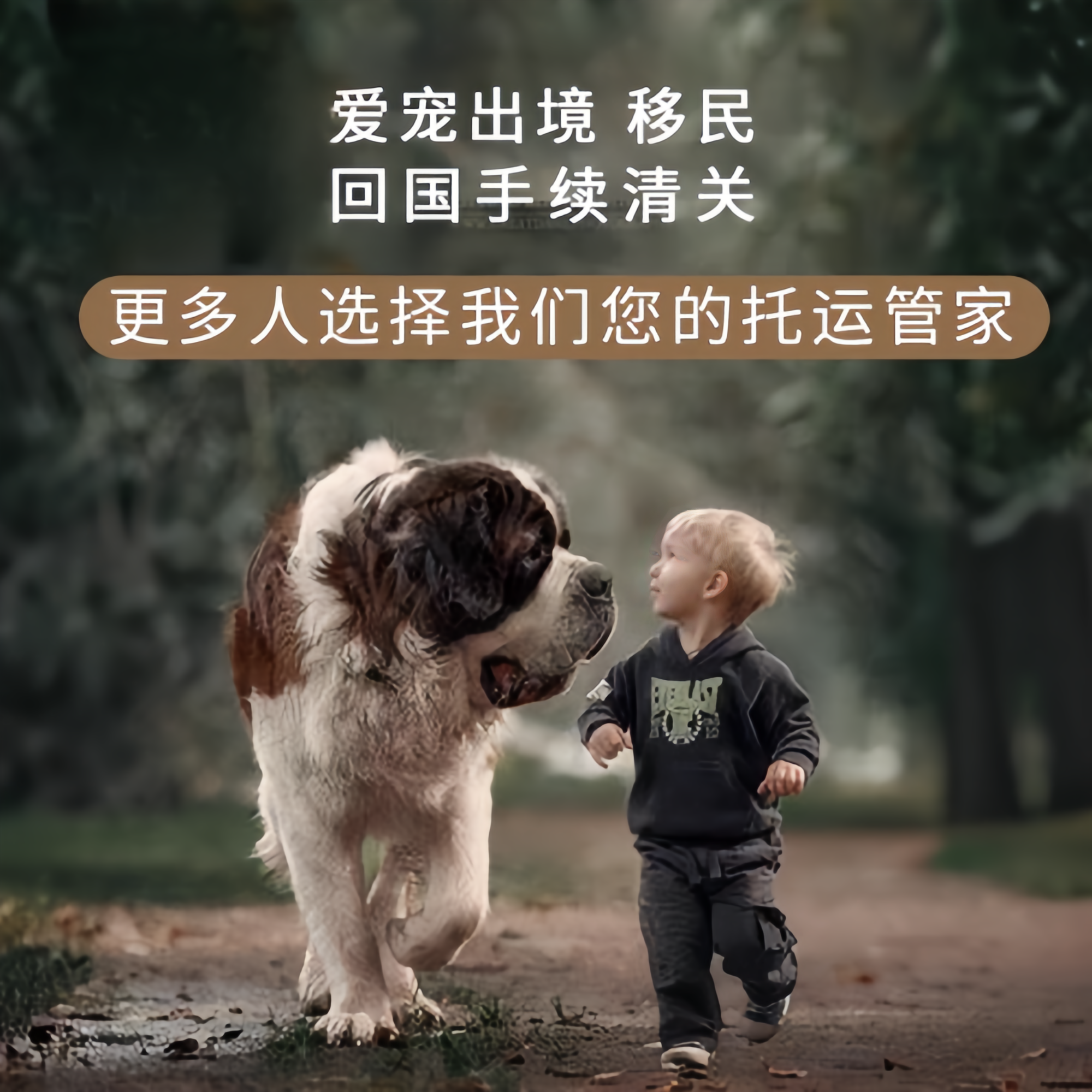 满财雅安市宠物全球达宠物托运在遵守入境目的地政策的条件